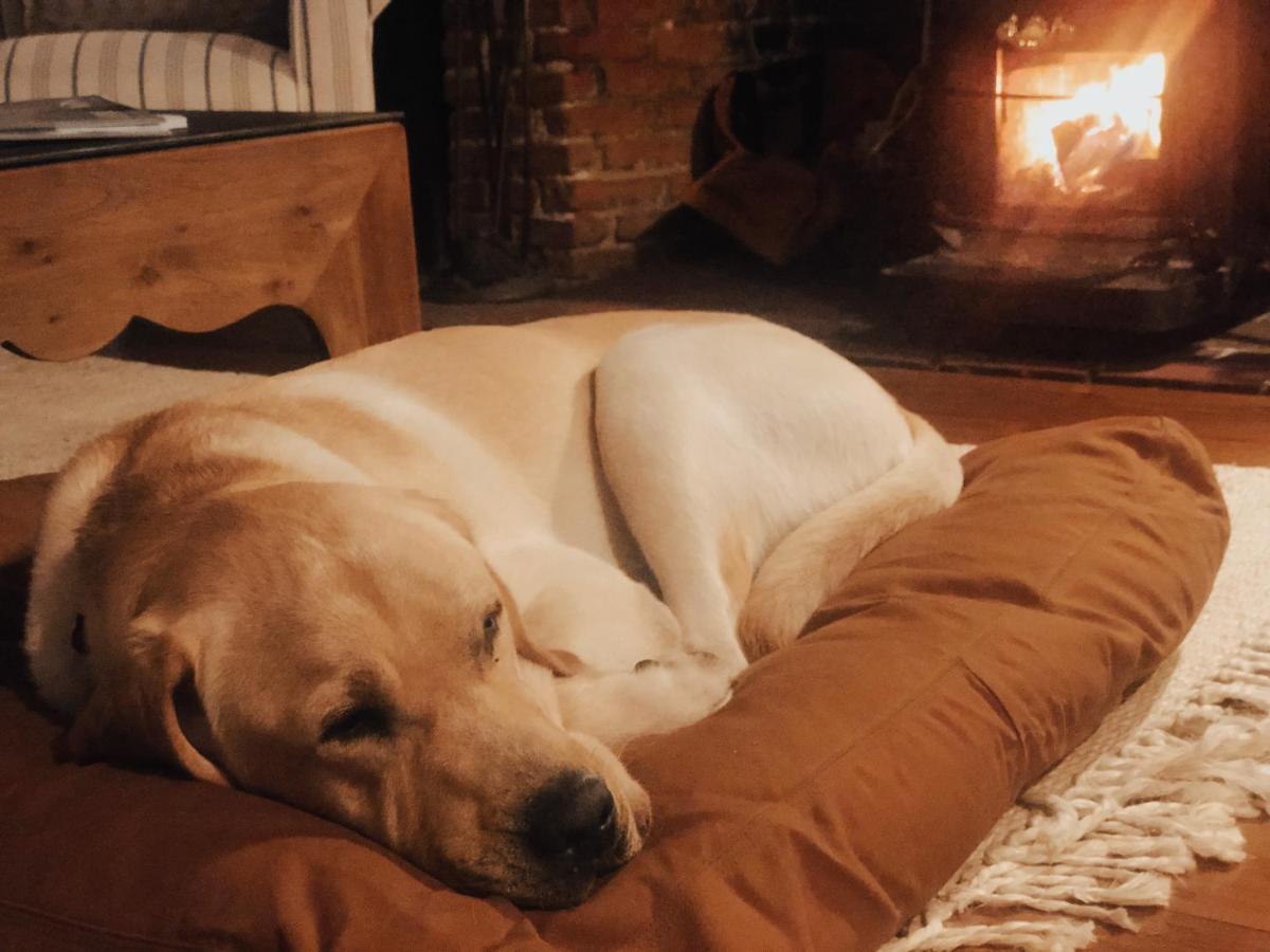 Cedar Hill Farm B & B Essex Εξωτερικό φωτογραφία
